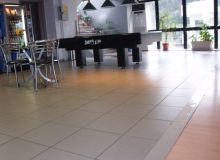 Billiards Elite  (37)